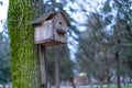 Broken birdhouse mounted on a tree Royalty Free Stock Photo