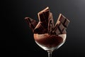 Broken black chocolate bar in glass with cocoa powder Royalty Free Stock Photo