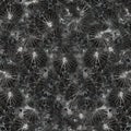 Broken black and white glass mosaic. Black and white shards background. Royalty Free Stock Photo