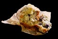 Broken blueberry muffin on baking paper on black. Royalty Free Stock Photo
