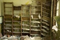 Broken bookshelves in an abandoned kindergarten in the town of Pripyat Royalty Free Stock Photo