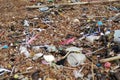 Broken bottle glass, many Garbage beach