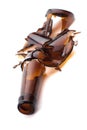 Broken bottle - portrait Royalty Free Stock Photo