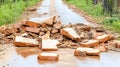 Broken Bricks on Wet Road Royalty Free Stock Photo
