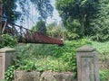 Broken Bridges in The Woods at Sunny Daylight - Landscape