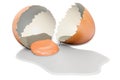 Broken brown chicken egg, 3d rendering