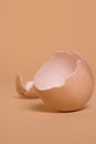 Broken brown chicken eggshell, source of calcium Royalty Free Stock Photo
