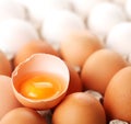 Broken brown egg is among Royalty Free Stock Photo