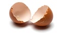 Broken brown eggshells on white background Royalty Free Stock Photo