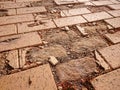 Broken brown tiles of a pavement