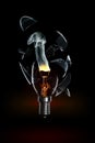 Broken bulb light Royalty Free Stock Photo