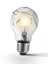Broken bulb, white background Royalty Free Stock Photo