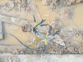 broken cable connection on muddy ground Royalty Free Stock Photo