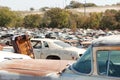 Broken cars at junkyard Royalty Free Stock Photo