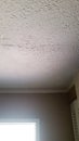 Broken Ceiling in Need of Drywall Repairmen or DIY Repair