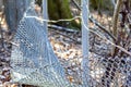 Broken chain link fence