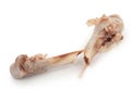 Broken chicken bone