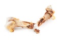 Broken chicken bone