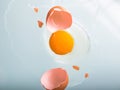 Broken chicken egg on the iron table close-up. horizontal view. a raw egg. Royalty Free Stock Photo