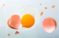 Broken chicken egg on the iron table close-up. horizontal view. a raw egg. Royalty Free Stock Photo