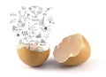 A broken chicken egg with business concept out Royalty Free Stock Photo