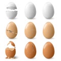 Broken chicken egg with eggshell, realistic shell