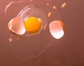 Broken chicken egg on the iron table close-up. horizontal view. a raw egg. Royalty Free Stock Photo