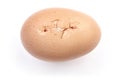 Broken Chicken egg Royalty Free Stock Photo