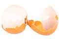 Broken chicken eggshell on white background Royalty Free Stock Photo