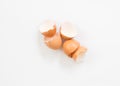 broken chicken eggshells