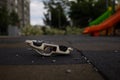 A broken children`s toy is lying on the Playground, a broken toy car.