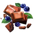 Broken chocolate bars and blueberry berries, sweet cocoa dessert, chocolate pieces, top view, close up, isolated