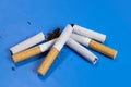 broken cigarettes with scattered tobacco, quit smoking concept Royalty Free Stock Photo