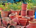 Broken clay flower pot colorful background. Damage concept.broke flower pot with red roses, Empty Flower Pot Royalty Free Stock Photo