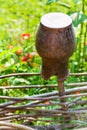 Broken clay pot close up at wattle fence Royalty Free Stock Photo