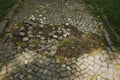 Broken cobbles with grass in the city park Royalty Free Stock Photo