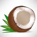 Broken coconut with leaves Royalty Free Stock Photo