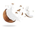 Broken coconut with milk splash, isolated on white background Royalty Free Stock Photo