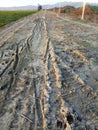 a broken country road. muddy road