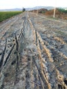 a broken country road. muddy road