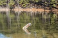 No wake buoy in the lake Royalty Free Stock Photo