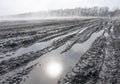 Broken dirt road on an agricultural field in early spring Royalty Free Stock Photo