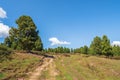 Broken dirt road.  Blue sky with autumn mountain and foot path through fir trees. Mountain colourful landscape Royalty Free Stock Photo