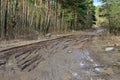 Broken dirt road after heavy rain. Swampy lagoon of a road demonstrates the most common problem in maintaining rural roads Royalty Free Stock Photo