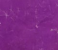 Damaged Purple Paper Background Royalty Free Stock Photo