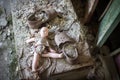 A broken doll in an abandoned kindergarten in Pripyat, Chernobyl exclusion zone. abandoned city, ghost town., Chornobyl Nuclear Royalty Free Stock Photo