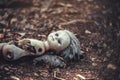 A broken doll in an abandoned kindergarten in the village of Kopachi