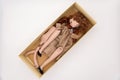 Broken Doll Body Parts in box on white Background Royalty Free Stock Photo