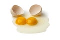 Broken double yolk egg Royalty Free Stock Photo