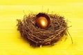 Broken easter golden egg with shell in bird nest Royalty Free Stock Photo